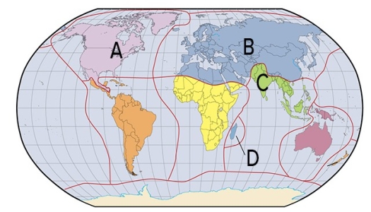 In which region in the map below are fauna similar even across islands because the areas within that region were once together as part of Gondwana?   A) A B) B C) C D) D