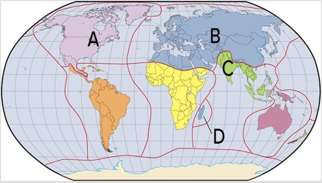 Which of the labels in the map below is characterized by limited richness and biodiversity,other than fishes and reptiles,but with endemic canine-type animals,horses,and raccoons?   A) A B) B C) C D) D