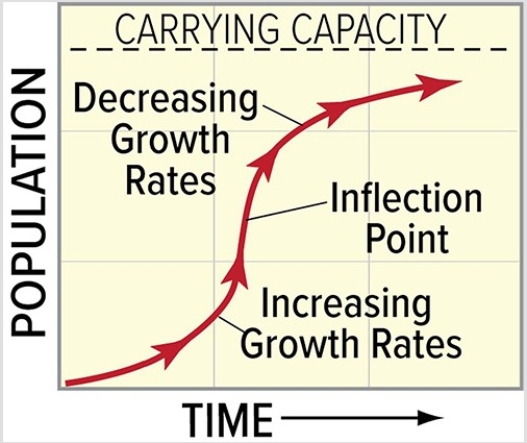 In the diagram below,the population growth rate begins to decline after reaching the inflection point most likely because   A) a new keystone predator has been introduced to the ecosystem. B) the ecosystem's limited resources begin to have an impact on the population. C) the species in the ecosystem evolve from being K-selected to being r-selected. D) a catastrophic event,such as a flood or earthquake,disrupts the ecosystem.