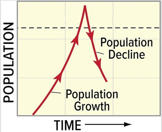 A likely scenario for causing the population trend shown in the diagram below is   A) the carrying capacity changed. B) favorable environmental conditions caused a temporary population explosion above the carrying capacity. C) a keystone predator was removed from the ecosystem at the point that the population began to decline. D) primary succession began at the time when the population reached its peak.