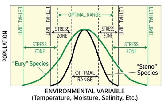 In the diagram below the  steno  species is represented by the   A) green line. B) black line.