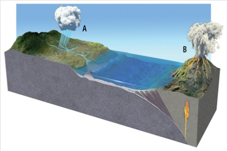 In the diagram below,the importance of the falling precipitation at  A  for the global carbon cycle is that   A) the falling rain makes carbon in the atmosphere more inert,giving it much greater potential to act as a greenhouse gas and warm the Earth. B) the falling rain brings CaCO₃ which was trapped in the atmosphere to the surface,cooling the Earth. C) the falling rain lubricates the Earth's surface,making crustal deformation more likely,which would bring carbon stored in the lithosphere back up to the atmosphere,warming the Earth. D) CO₂combines with water to form H₂CO₃,removing carbon from the atmosphere and cooling the Earth.