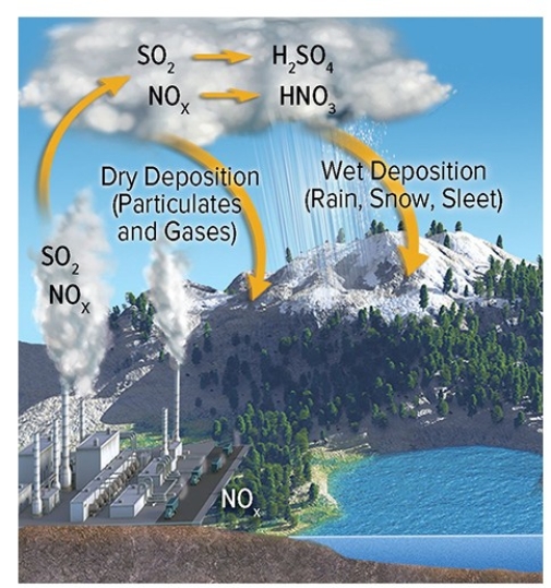 The diagram below reminds us that NOx reacts with water to produce nitric acid (HNO3) ,an important component of   A) global warming. B) El Niño. C) eutrophication. D) acid rain.