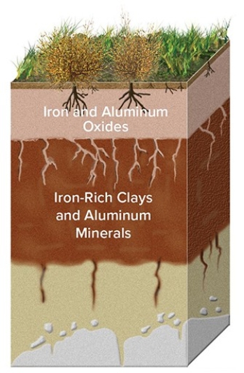 In the soil profile below,iron is present in both the top and bottom layer,as labeled,but why is only the second layer a reddish color?   A) The iron oxide was leached from the top layer in what was most likely a wet environment. B) The iron oxide was leached from the top layer in what was most likely an arid environment. C) When exposed to air,the iron oxide loses its reddish tint in what was most likely a wet environment. D) When exposed to air,the iron oxide loses its reddish tint in what was most likely an arid environment.