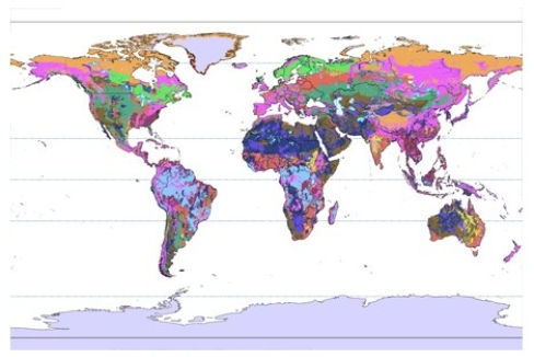 In the world map below,the purple color represents   A) Gelisols. B) Histosols. C) Entisols. D) Ultisols.