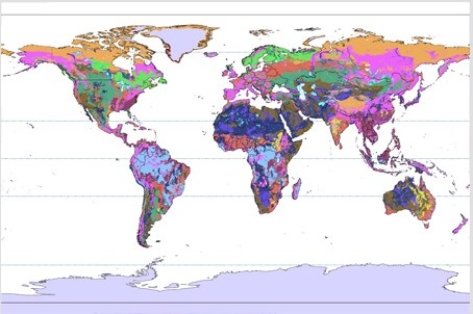 In the world map below,the color that represents the soil type with the most ideal balance between leaching and retention of nutrients is   A) dark green. B) pink. C) medium blue. D) purple.