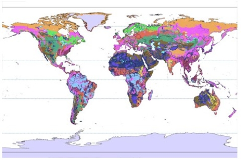 In which colored area in the world map below has slash and burn agriculture been most prominent in leaving relatively infertile soils beneath the forest exposed?   A) dark green B) light blue C) pink D) purple