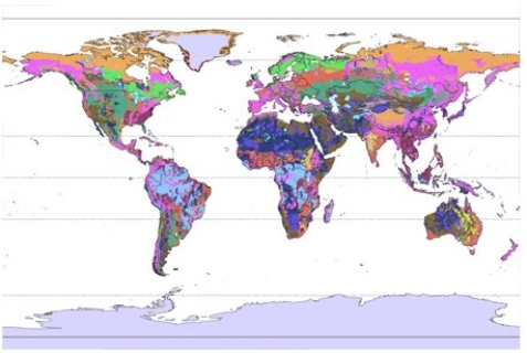 In the world map below the color that represents soils that swell and shrink excessively is   A) pink. B) light green. C) medium blue. D) purple.