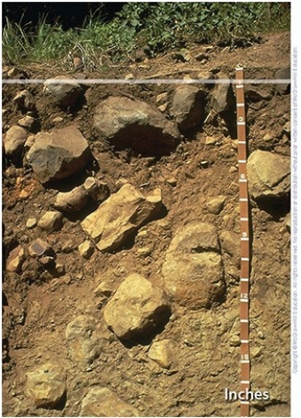 The material in this soil is glacially-derived colluvium.What soil order does it belong to?   A) Inceptisols B) Alfisols C) Aridisols D) Gelisols E) Mollisols