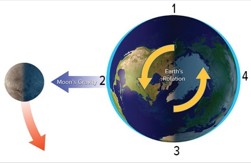 With the Moon in this position,which area will experience high tide?   A) 1 B) 2 C) 3 D) 1 and 3 E) 2 and 4