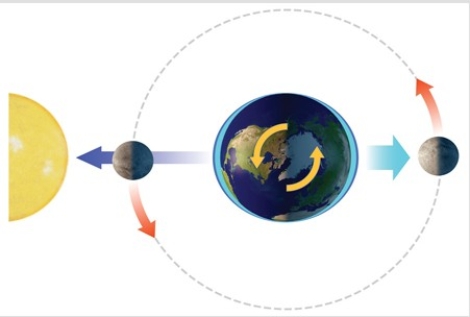 With the Sun and Moon in this position,the side of the Earth facing the Moon experiences   A) a normal high tide. B) a normal low tide. C) a spring tide. D) a neap tide.