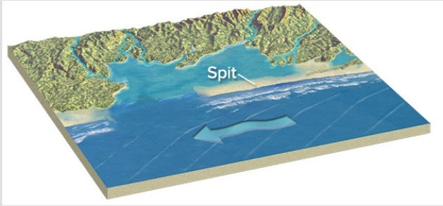 If this spit continues to grow,cutting off the lagoon,it will become a   A) sandbar. B) baymouth bar. C) reef. D) groin.