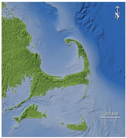 Which of the following features was not an important process contributing to the formation of Cape Cod into its present-day shape?   A) North to south longshore current B) Glacial deposition C) Sea level increases D) All of these are important processes for Cape Cod's formation.