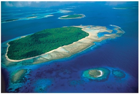 The left to right slope of the small island on the lower right of this photograph tells us that   A) a nearby stream on the mainland must be providing sediment to support the island. B) wave action must be minimal in this area. C) an area of coastal upwelling must be nearby. D) the ocean depth must be increasing to the right.