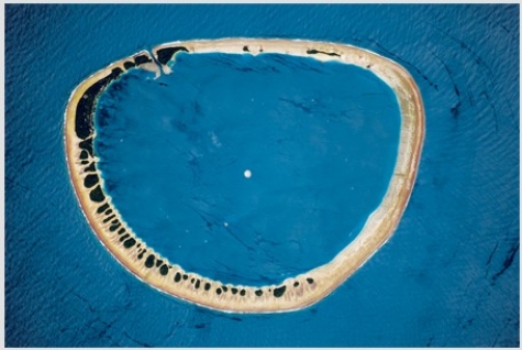 This feature is a(n)    A) sea stack. B) fringing reef. C) atoll. D) sandbar.