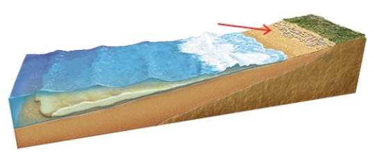 The diagram below represents a model that the U.S.Geological Survey (USGS) uses to categorize the extent of storm surge in the coastal zone.The red arrow in this figure points to   A) the maximum height of the swash zone. B) the highest rate of discharge from the nearest stream. C) the radius of motion of water molecules that are part of the waves of oscillation. D) the height of high tide.