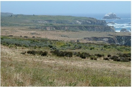 In the coastlines investigation,what coastline feature is represented by the flat bench above the west coast?   A) Sea cliffs B) Marine terrace C) Delta D) Spit and sand bar E) Submerged coastline