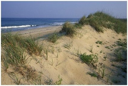 In the coastlines investigation,what coastline feature consists of the ridge of sand and the adjacent island along the south coast?   A) Sea cliffs B) Marine terrace C) Delta D) Spit and sand bar E) Submerged coastline