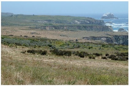 In the coastlines investigation,what coastline process has likely occurred to form the flat bench above the west coast?   A) Deposition of sediment from the land B) Transport of delta-derived sediment along the coast C) Uplift of the land relative to sea level