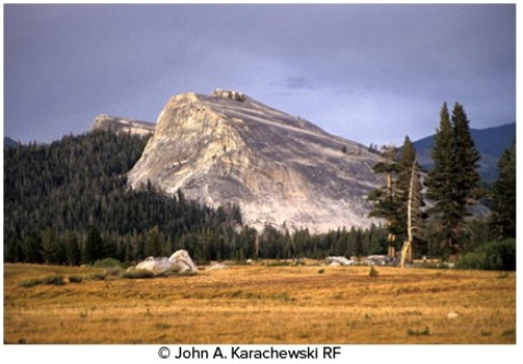 The feature in the photograph below is a(n)    A) drumlin. B) roche moutonnée. C) esker. D) kame.