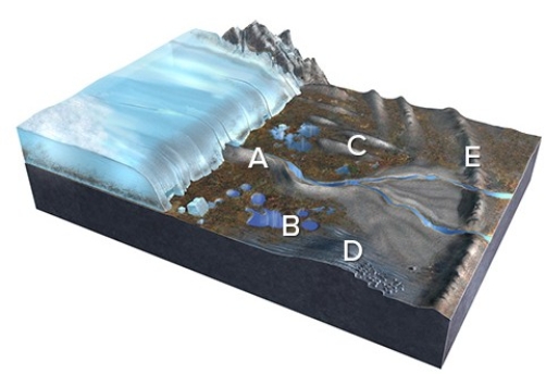 Which of the features labeled on this figure is a drumlin?   A) A B) B C) C D) D E) E