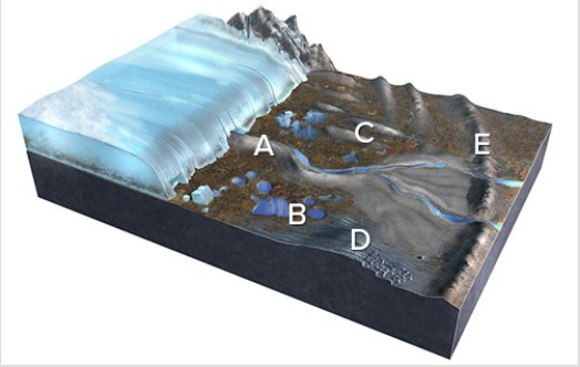 Which of the features labeled on this figure is an esker?   A) A B) B C) C D) D E) E