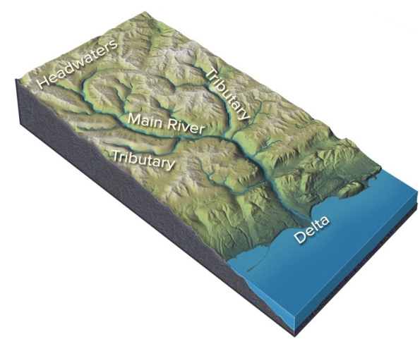 What typically happens when tributaries join the main river?   A) Channel size increases B) Water velocity increases C) The amount of discharge increases D) Total sediment load increases E) All of these are correct.