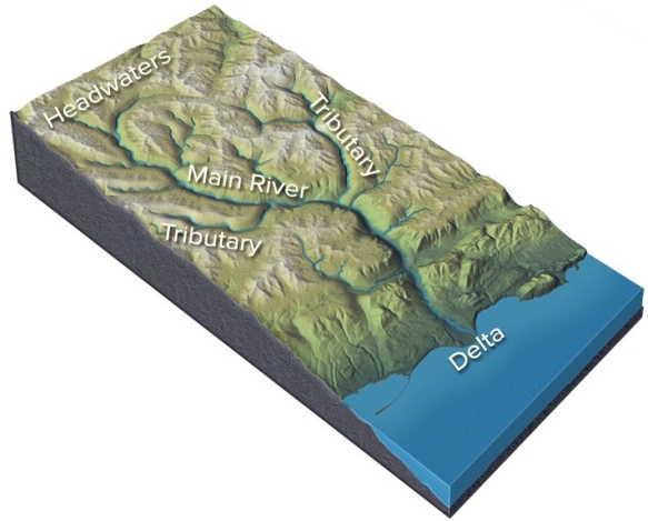 What happens to a river as it flows through a delta and encounters the sea?   A) The discharge and water velocity increase. B) The maximum sediment grain size carried by the river increases. C) The total sediment load carried by the river decreases. D) All of these are correct.