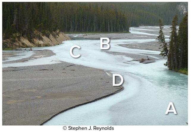 In the diagram below,the most likely place where sediment will be deposited on the streambed is at   A) A. B) B. C) C. D) D.