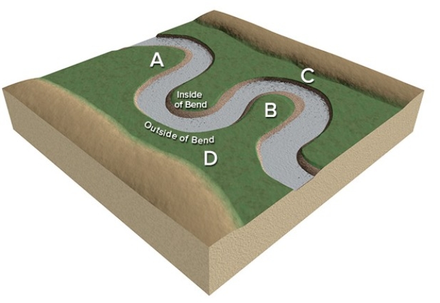 At which site along this stream would a cut bank form?   A) A B) B C) C D) D