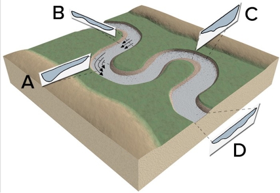 At which point or points does the current flow fastest in the center of the channel?    A)A B)B C)C D)D