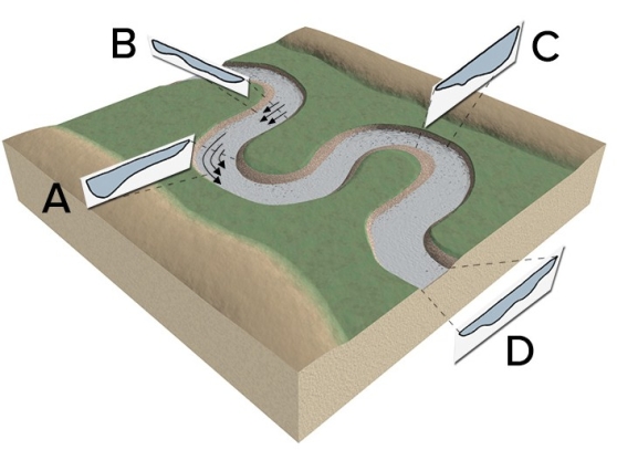 At what two stream profiles would overall stream velocity be greatest at the center of the profile?   A) A and C B) B and D C) C and D D) D and A