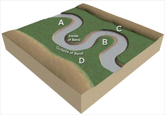 At which site along this stream would a point bar form?   A) A B) B C) C D) D