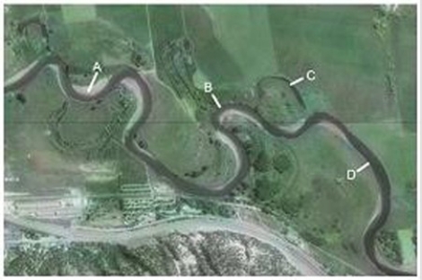 Which of the features on this aerial photograph represents the former position of a meander?   A) A B) B C) C D) D E) Both C and D