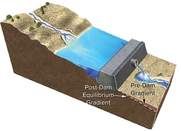 Construction of a dam results in   A) an increase in the total amount of water flowing downstream of the dam. B) increased erosion by clear water released from the dam. C) the dam releasing water that contains more sediment than carried by the river before the dam was constructed. D) increased erosion where the stream channel meets the reservoir.