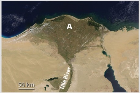 Feature A,formed where the Nile River encounters the Mediterranean Sea,is   A) a landslide. B) a series of waterfalls. C) a delta. D) All of these are correct.