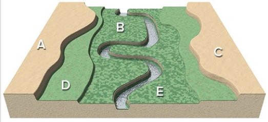 In this landscape,the location that would be best for agricultural fields is probably   A) Location A. B) Location B. C) Location C. D) Location D. E) Location E.