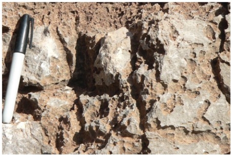 What is the main type of weathering illustrated by this weathered limestone?   A) Physical weathering B) Dissolution C) Oxidation D) Exfoliation