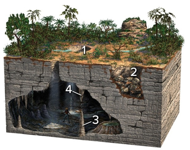 Which of these four numbered features on the surface or in a cave are formed by the precipitation of calcium carbonate,due to the evaporation of water?   A) 1 and 2 B) 2 and 3 C) 3 and 4 D) 1 and 3 E) 1 and 4