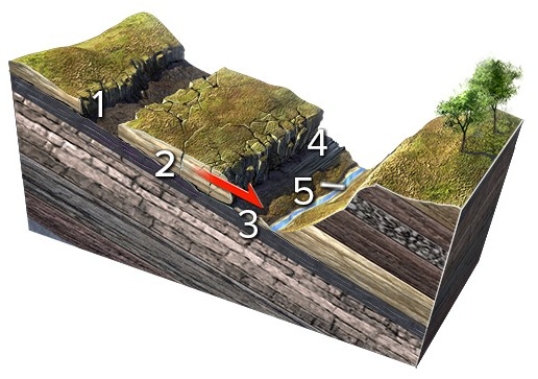 Which numbered feature on this figure is a scarp?   A) 1,a linear or curved scar marking where the slide pulled away from the hill B) 2,small fractures within the sliding block C) 3,the intact layers below the rock slide D) 4,the front of the slide,where it overruns the land surface E) 5,a valley or other open space in front of the slide