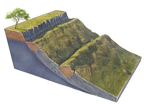 What type of slope failure is shown in this figure?   A) Rotational slide B) Creep C) Rock avalanche D) Debris flow E) Rock fall