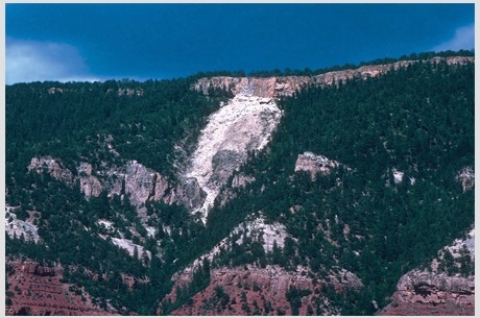 Which of the following might indicate that slopes adjacent to this landslide might fail?   A) They have the same steepness as the slope that failed. B) They appear to have a similar geology setting. C) One part of the slope has already failed. D) All of these are correct.