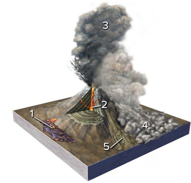 Which of the numbered features is a lava flow?   A) 1 B) 2 C) 3 D) 4 E) 5