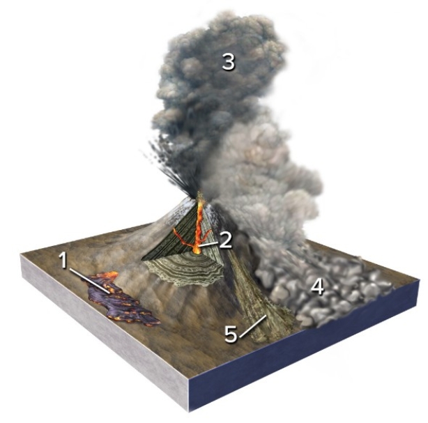 Which of the numbered features is a pyroclastic column?   A) 1 B) 2 C) 3 D) 4 E) 5