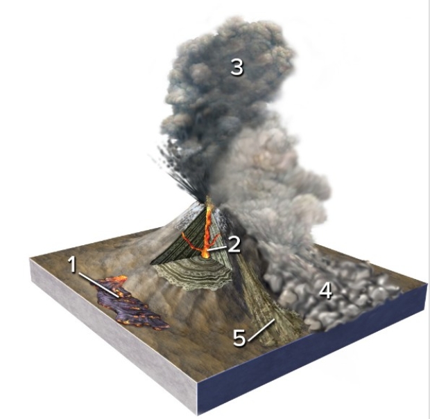 Which of the numbered features is a pyroclastic flow?   A) 1 B) 2 C) 3 D) 4 E) 5