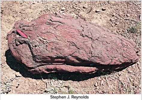 What type of basaltic feature is shown in this photograph?   A) Vesicles B) Volcanic bomb C) Aa lava flow D) Pahoehoe lava flow E) Pyroclastic flow