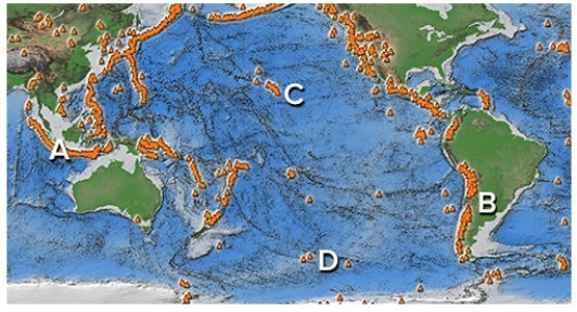 Which of the following sites would most likely have less dangerous volcanoes? A is on an island arc,B is in the Andes,C is near Hawaii,D is along a midocean ridge.   A) A and B B) B and C C) C and D D) A and C E) B and D