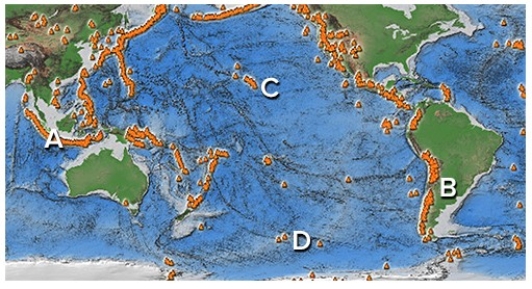 Which of the following sites has volcanism related to a hot spot or divergent margin? A is on an island arc,B is in the Andes,C is near Hawaii,D is along a midocean ridge.   A) A and B B) B and C C) C and D D) A and C E) B and D