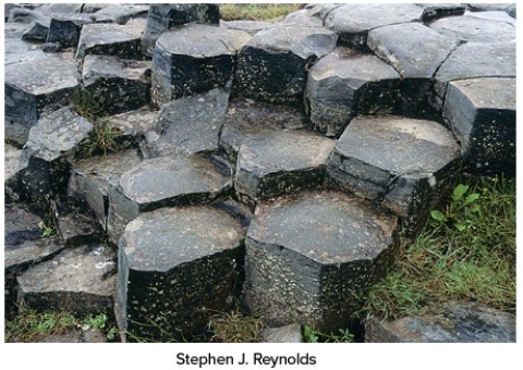 How did the joints in this photograph form?   A) From uplift B) From burial C) From tectonics D) From weathering E) From cooling