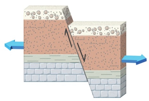 The type of fault shown in this figure is a   A) normal fault. B) reverse fault. C) strike-slip fault. D) thrust fault.